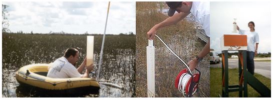 Caption: Dr. Mark Nemeth measuring infiltration rates in the Everglades, Walter Wilcox measuring water levels, and Gudrun Ibler collecting rainwater samples for isotopic analysis.